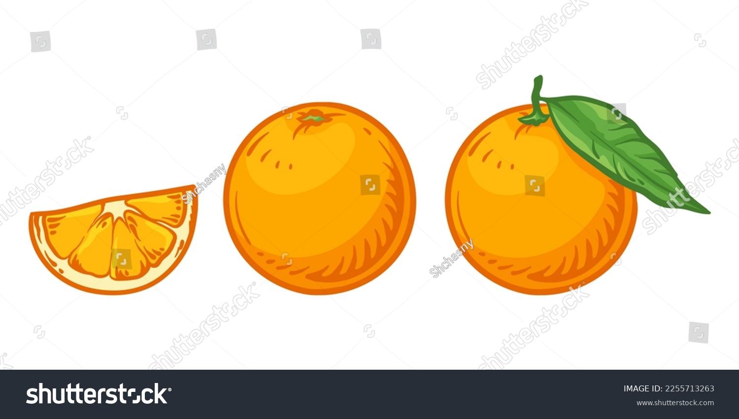 Orange and orange slice. Vector illustration of oranges isolated on white background. #2255713263