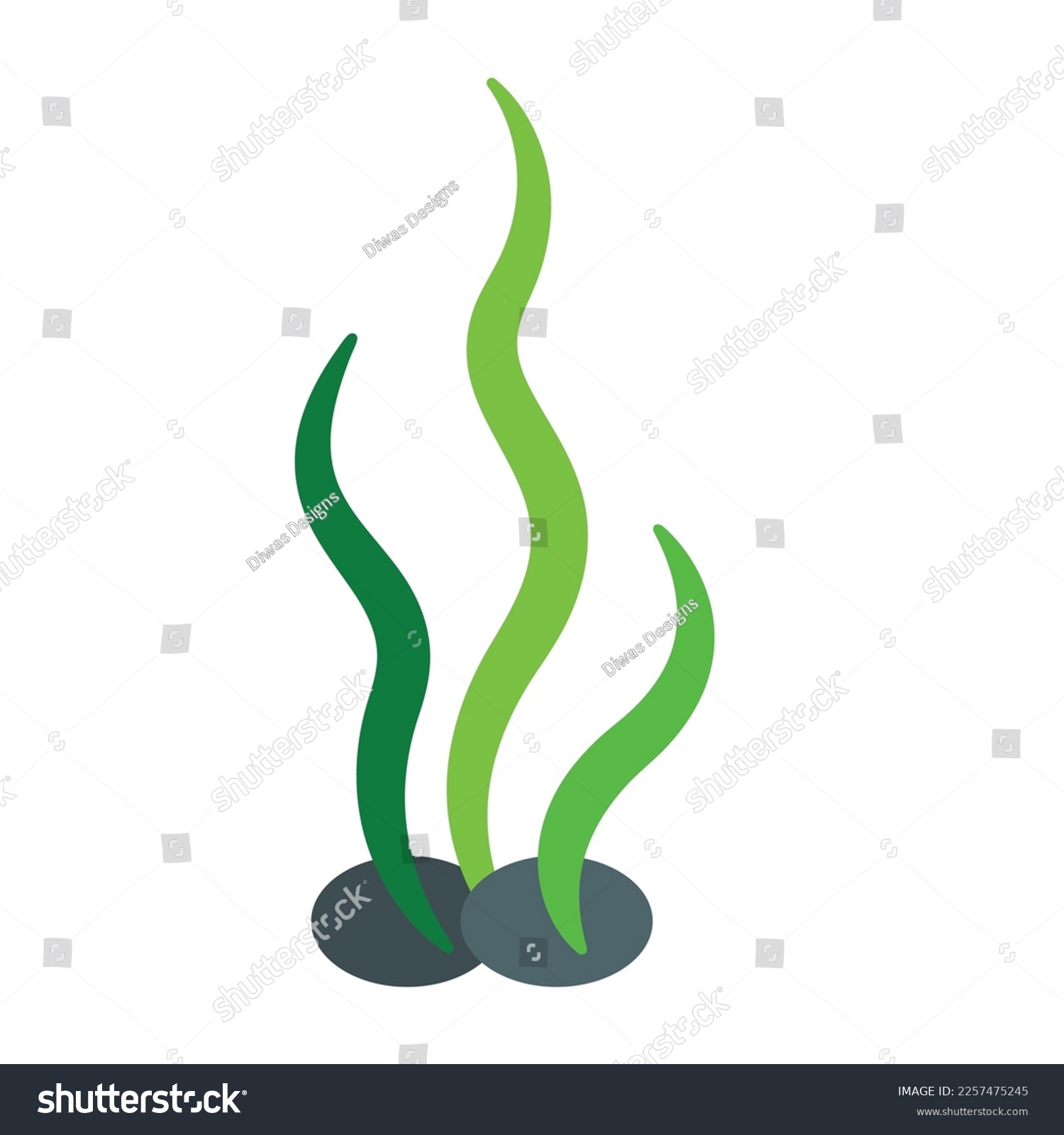 see weed algae flat vector illustration - Royalty Free Stock Vector ...