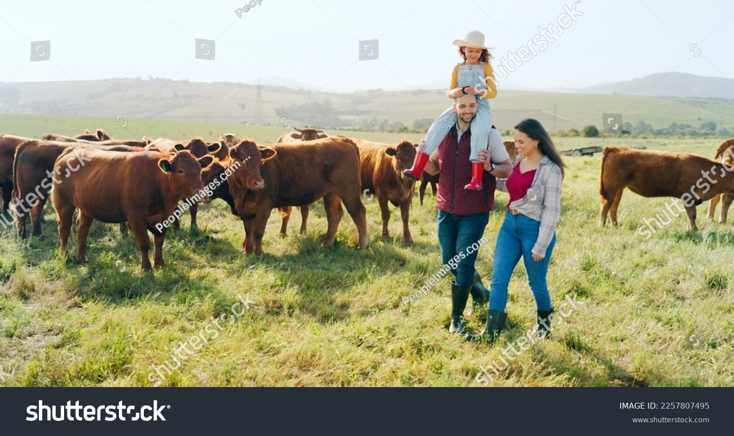 Family, farm and agriculture with a girl, mother and father walking on grass in a meadow with cows. Farmer, sustainability and field with a man, woman and daughter working together in cattle farming #2257807495