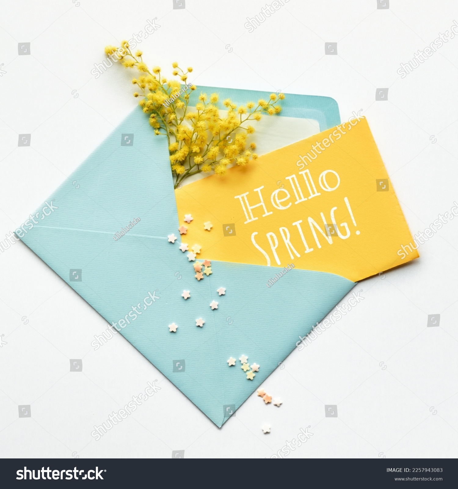 Caption Hello Spring on yellow paper card, fresh mimosa flowers in mint blue envelope on off white background. Natural springtime decor in two colors. Flat lay, top view, central composition. #2257943083
