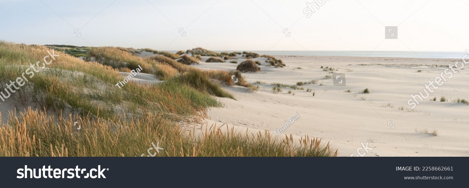 Wide, sandy beach on the North Sea #2258662661