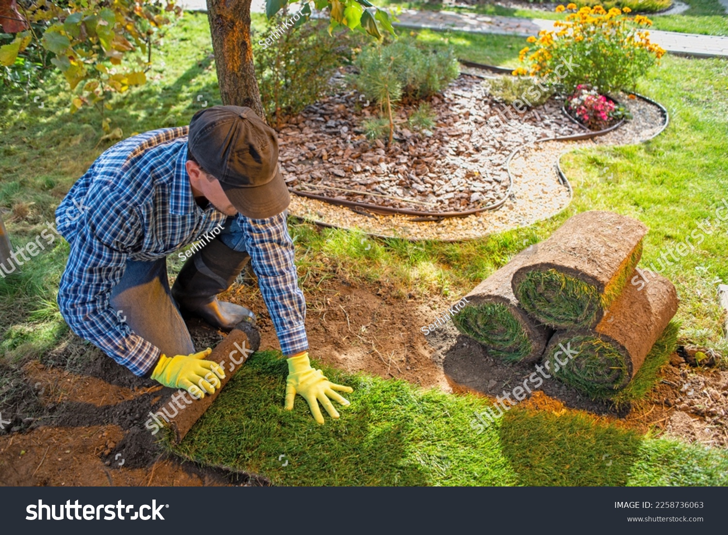 Landscape Gardener Laying Turf For New Lawn in the garden #2258736063