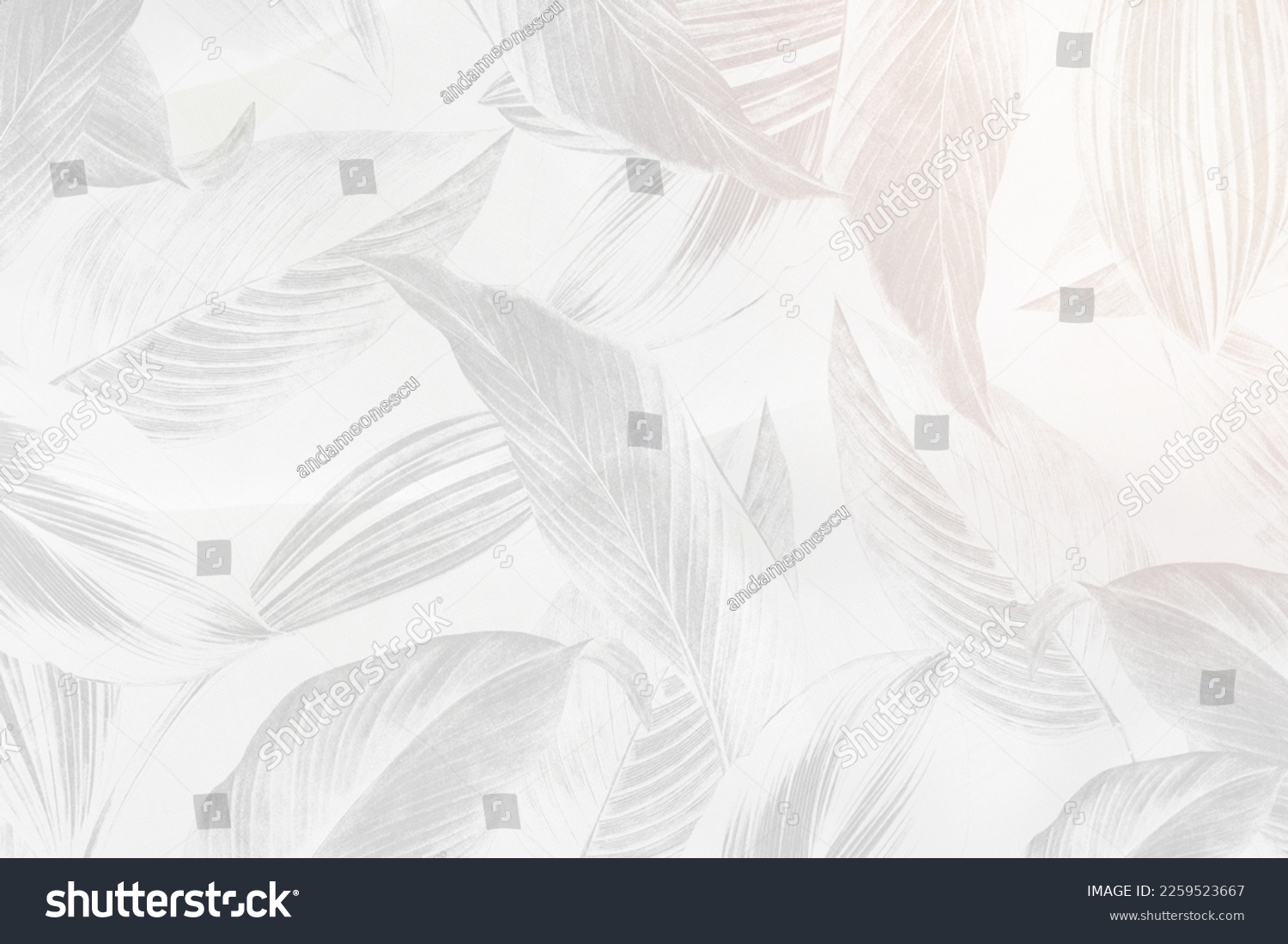 Gray calathea lutea leaf patterned background #2259523667
