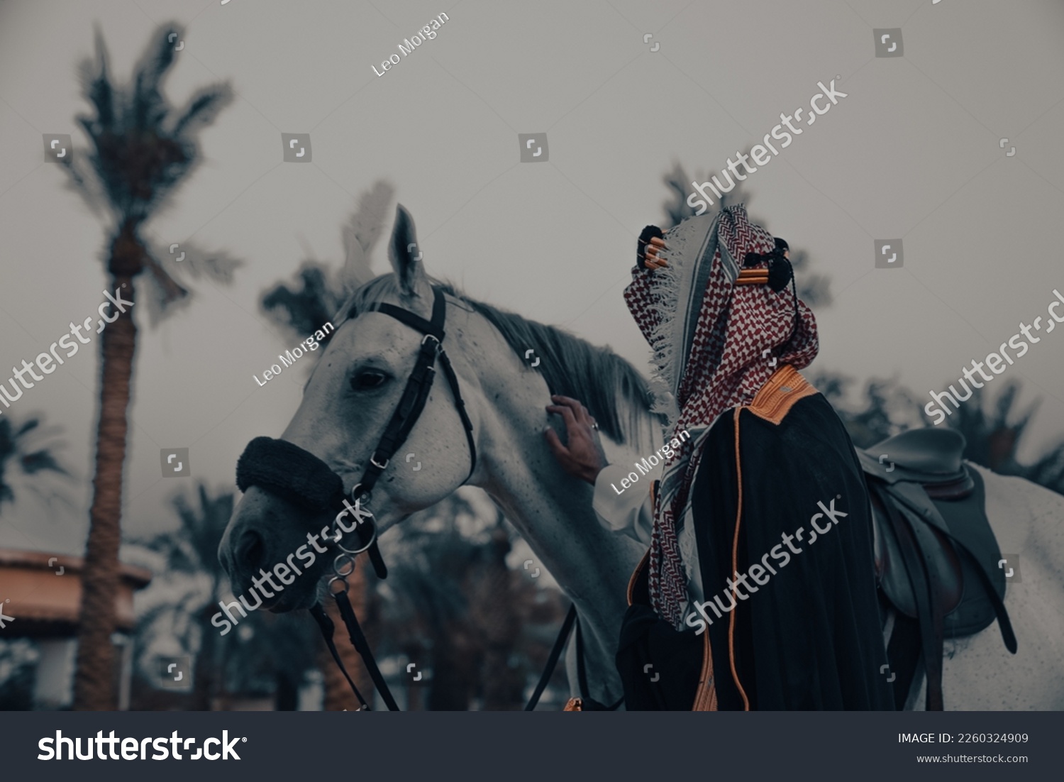 Saudi Foundation Day, the national day of the Kingdom of KSA, A Saudi man riding a horse and carrying a Saudi warrior's sword
Saudi heritage History of the Kingdom of KSA #2260324909