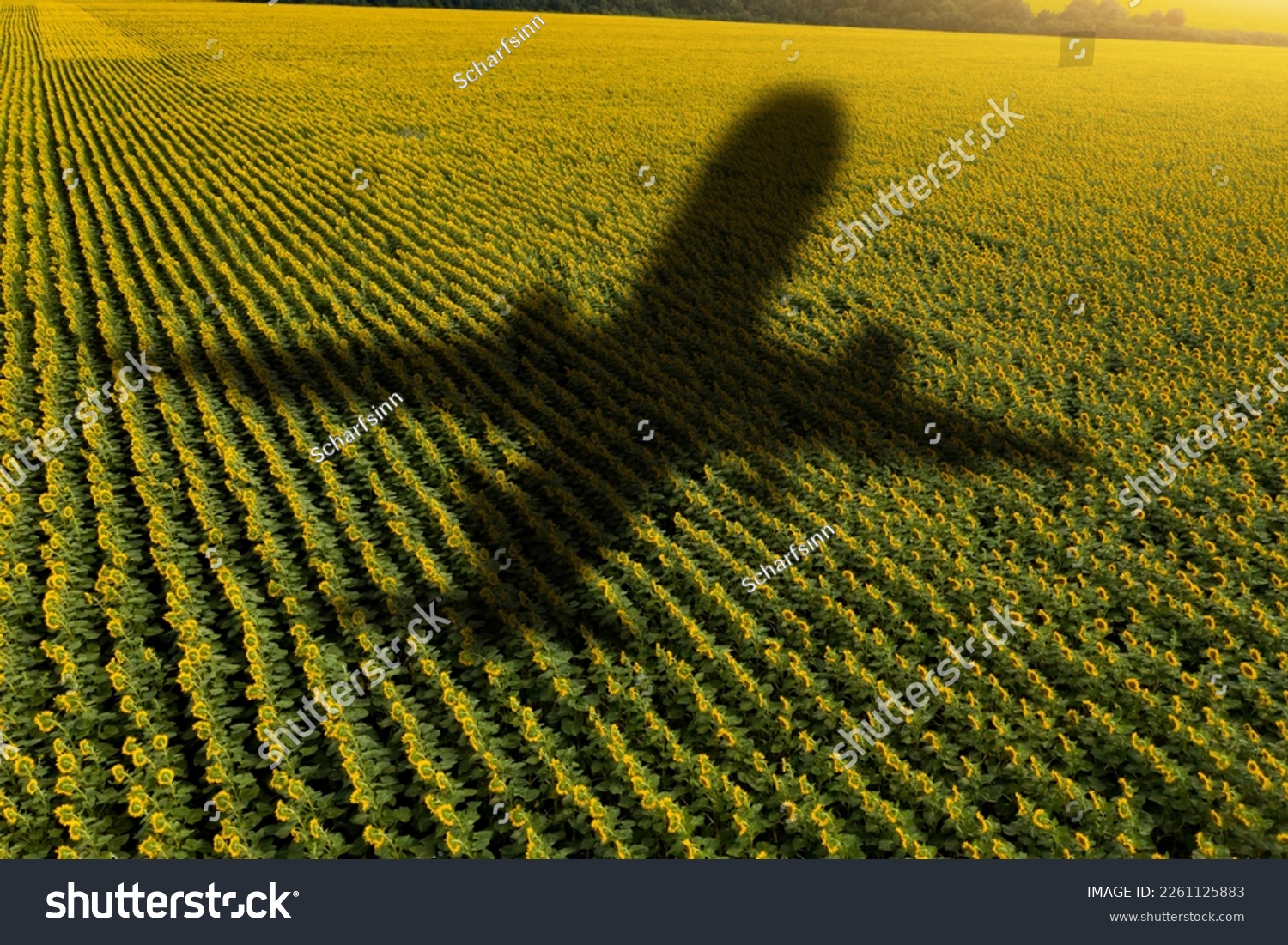 Shadow of the plane on the agricultural field. Concept of decarbonization and biofuel #2261125883