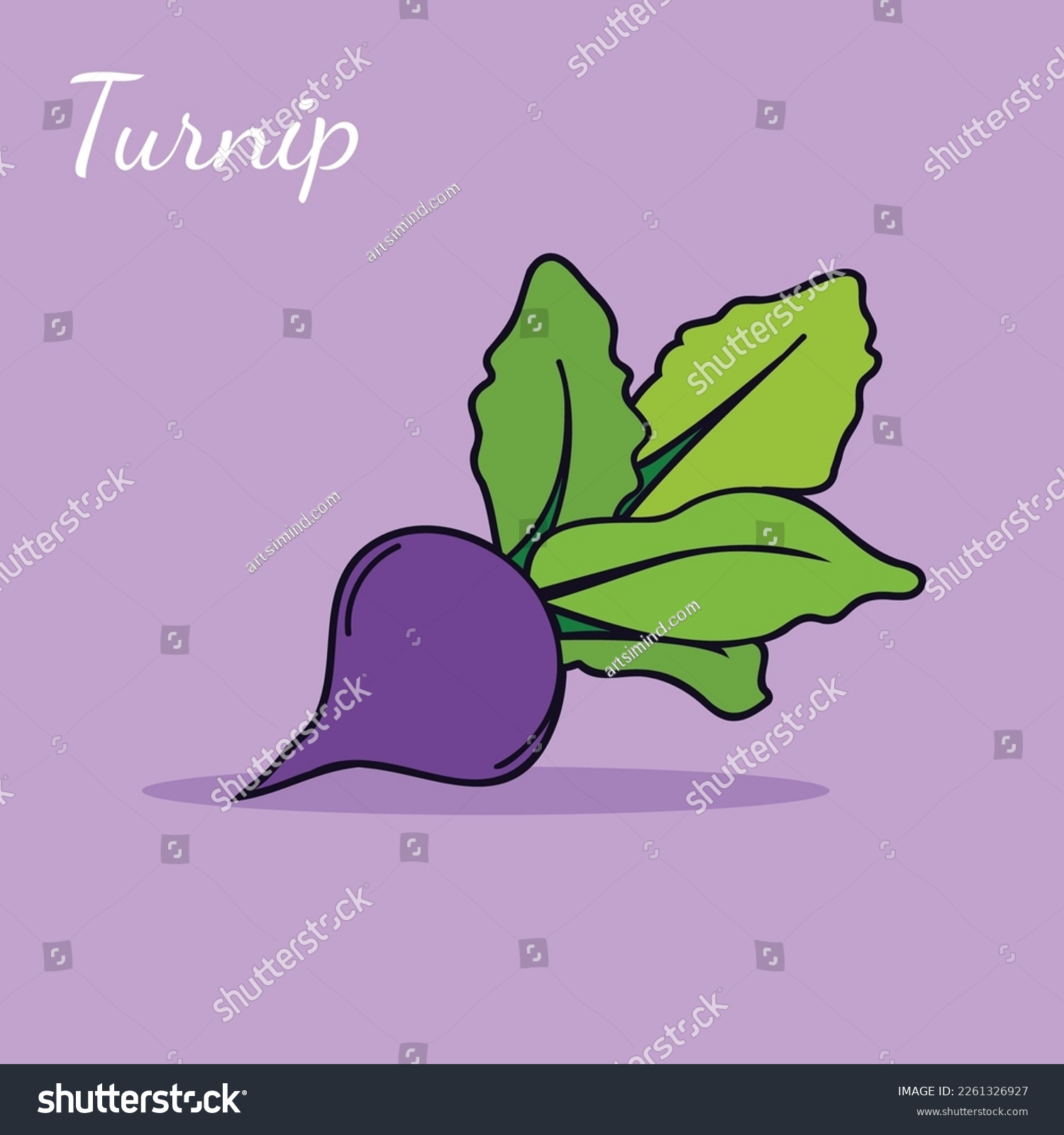 Vector icon of turnip. The product is a vegetable sharp purple turnip. Illustration of food turnip in flat minimalism style #2261326927