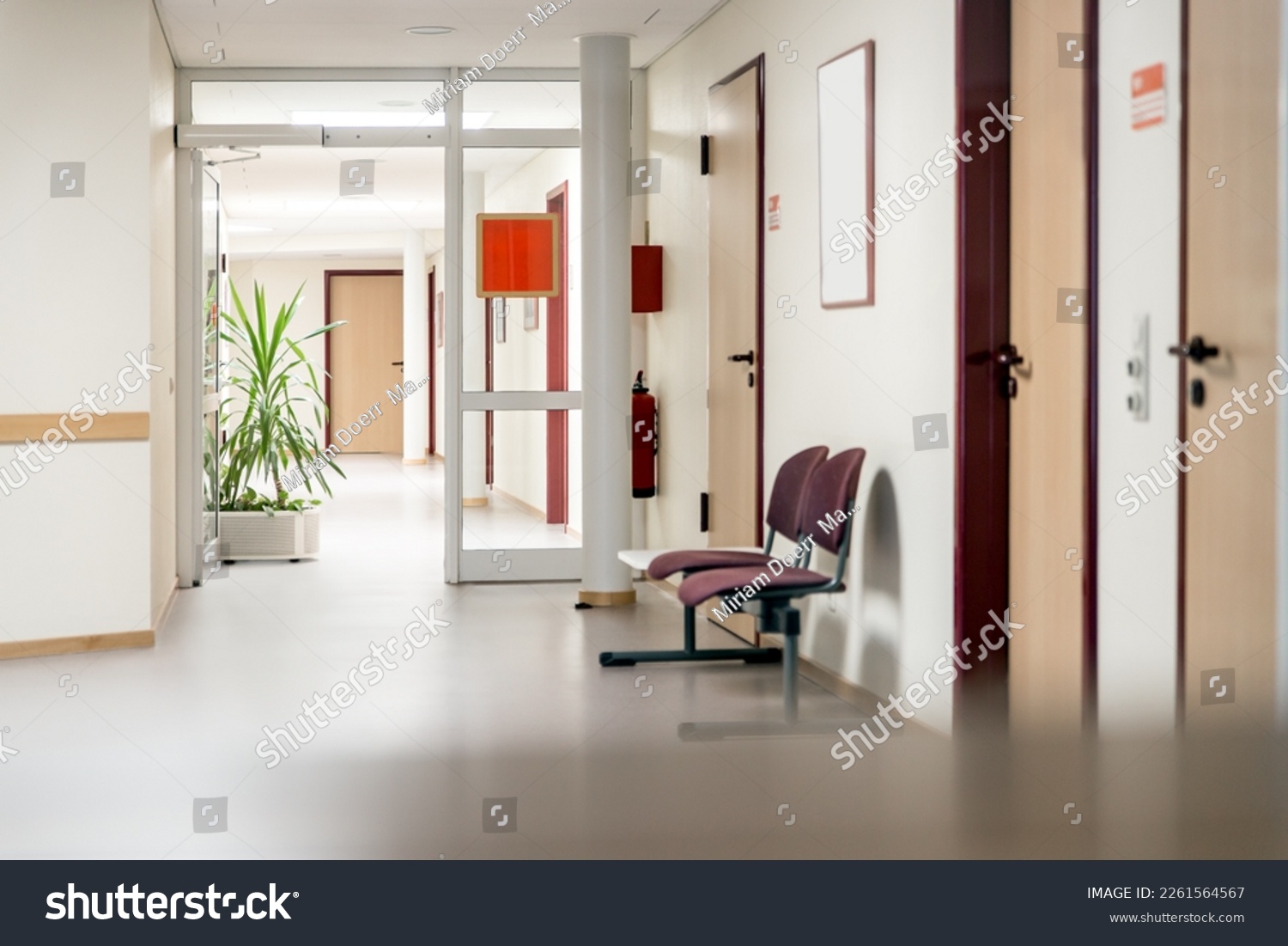 empty waiting room in a clinic or hospital, corridor or hallway with green plant #2261564567