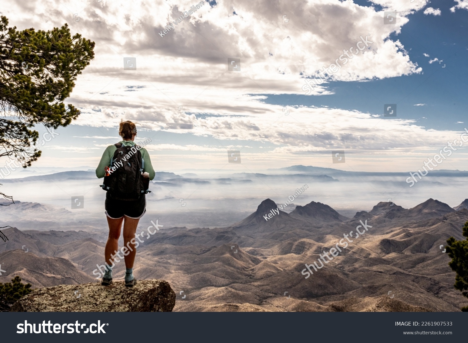 Hiker Looking Out From South Rim Trail in Big Bend National Park #2261907533