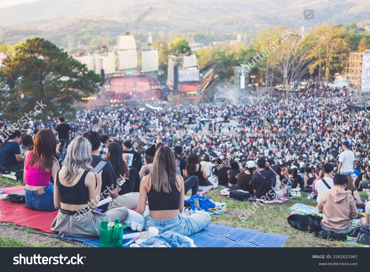 Group of young women watching concert in the park at open air music festival, back view. #2262621967