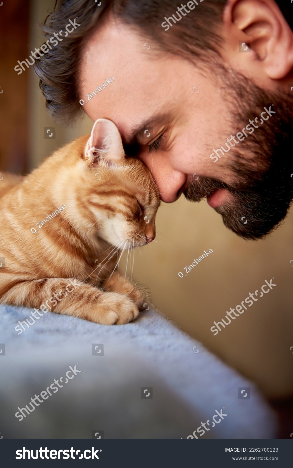 Muzzle of a red cat and a man's face. Close-up of handsome young beard man and tabby cat - two profiles. Pets and humans friendship, love and trust concept #2262700123