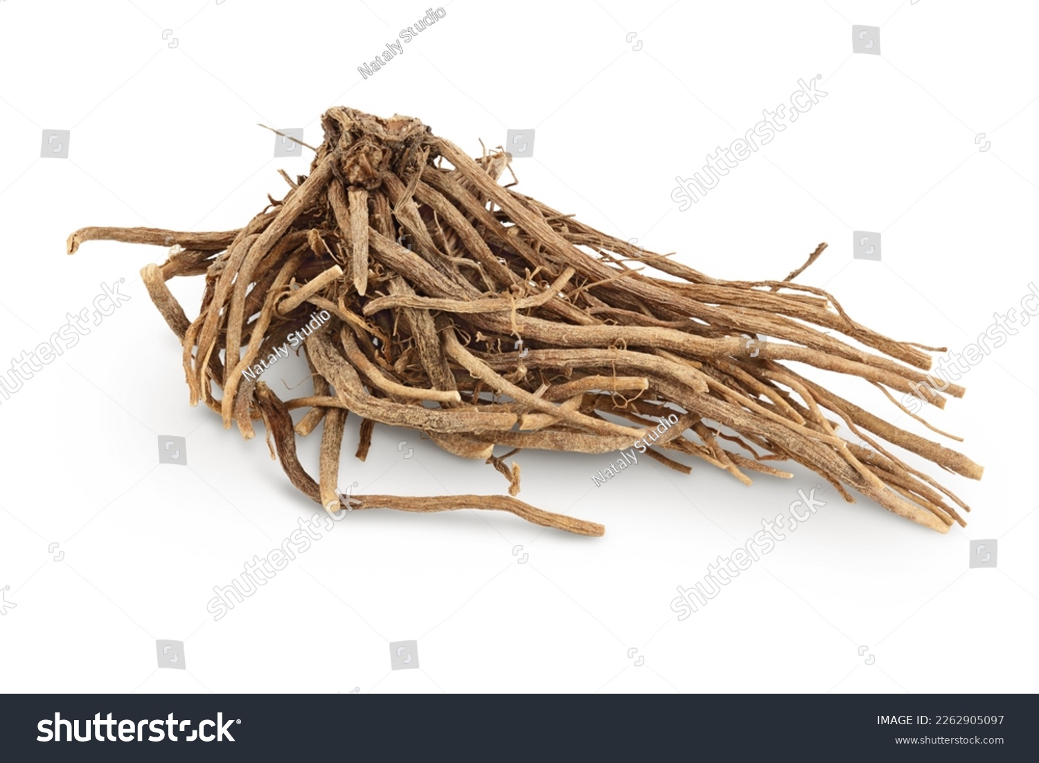 Dried Valerian root isolated on white background. Valeriana officinalis with full depth of field. #2262905097