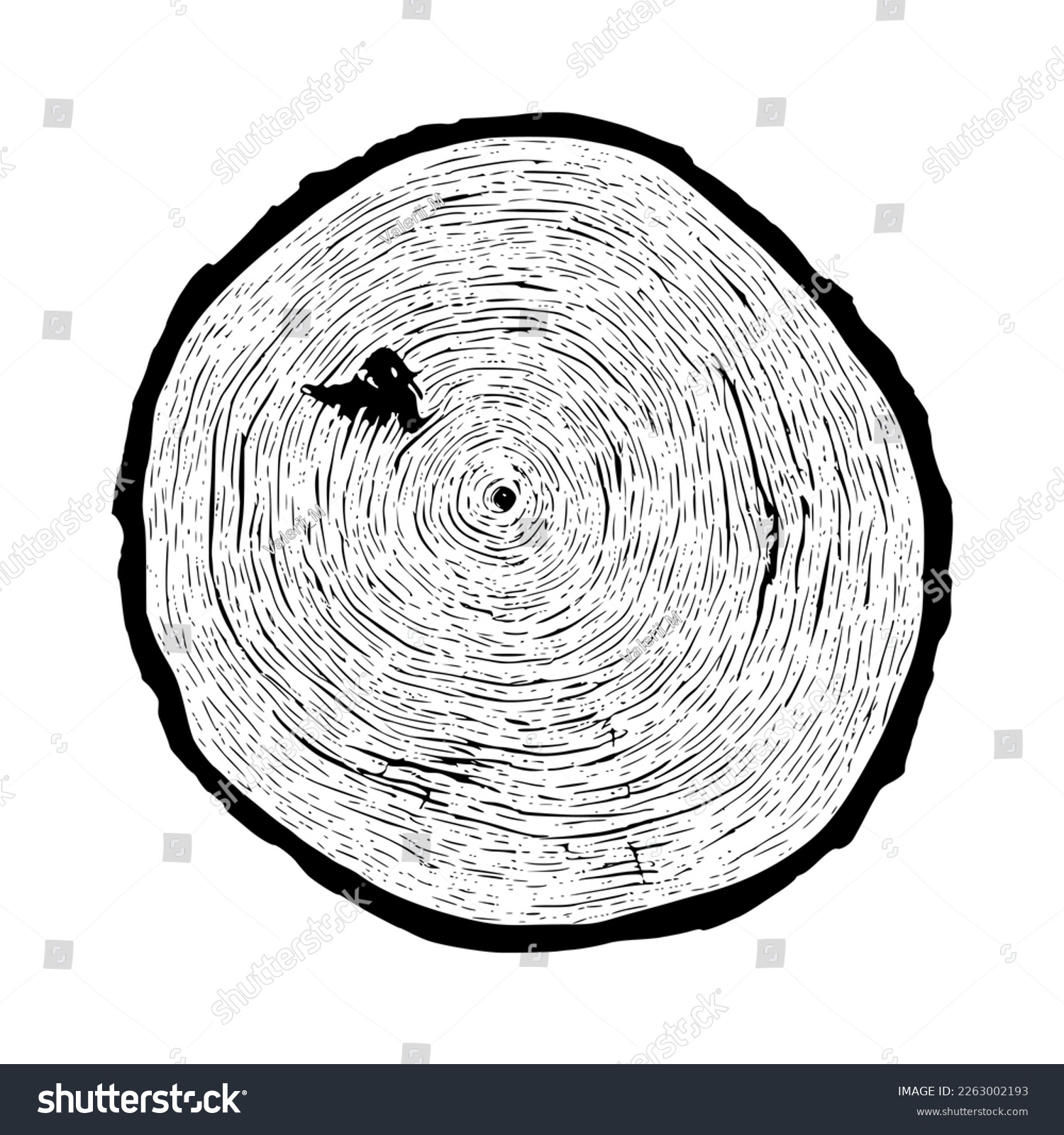 Log cut, vector illustration. Tree rings pattern - Royalty Free Stock ...