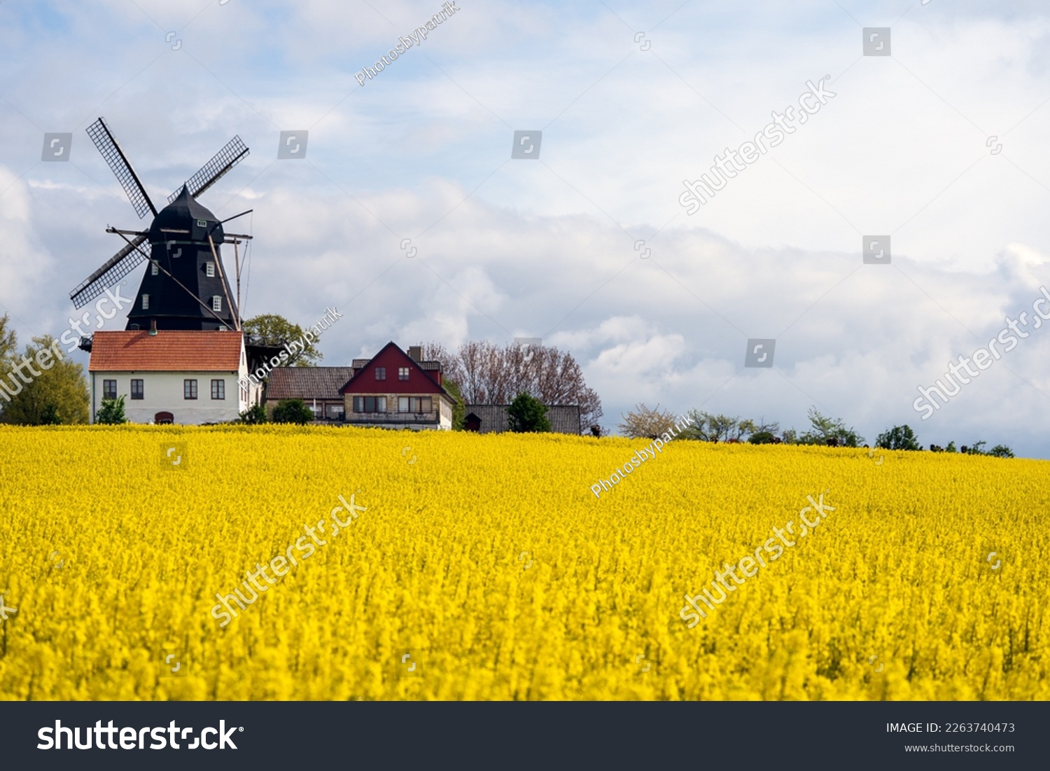 Rapeseed field with old traditional windmill in Malmo, Sweden. Selective focus. #2263740473