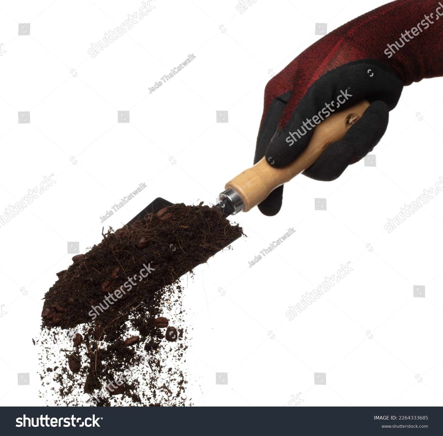 Fertilizer Coffee bean seed powder mixed soil fly fall in shovel, Fertilizer Coffee bean soil for planting float in air. Fertilizer Coffee bean throw in mid air. White background isolated high speed #2264333685