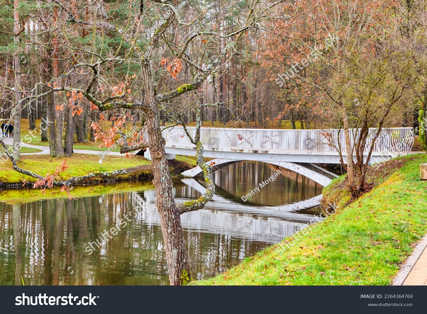 Bridge Over Lake Druskonis in Druskininkai in Lithuania.Horizontal image #2264364769