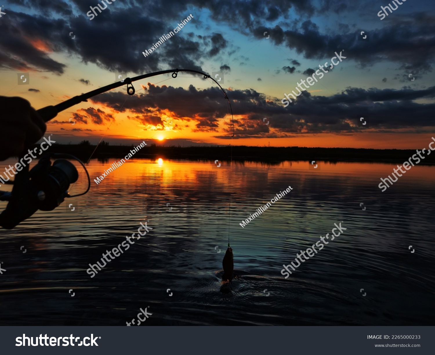 Fishing at sunset. Catching predatory fish on spinning. Sunset colors on the water surface, sunny path from the low sun. Perch caught on yellow spoonbait #2265000233