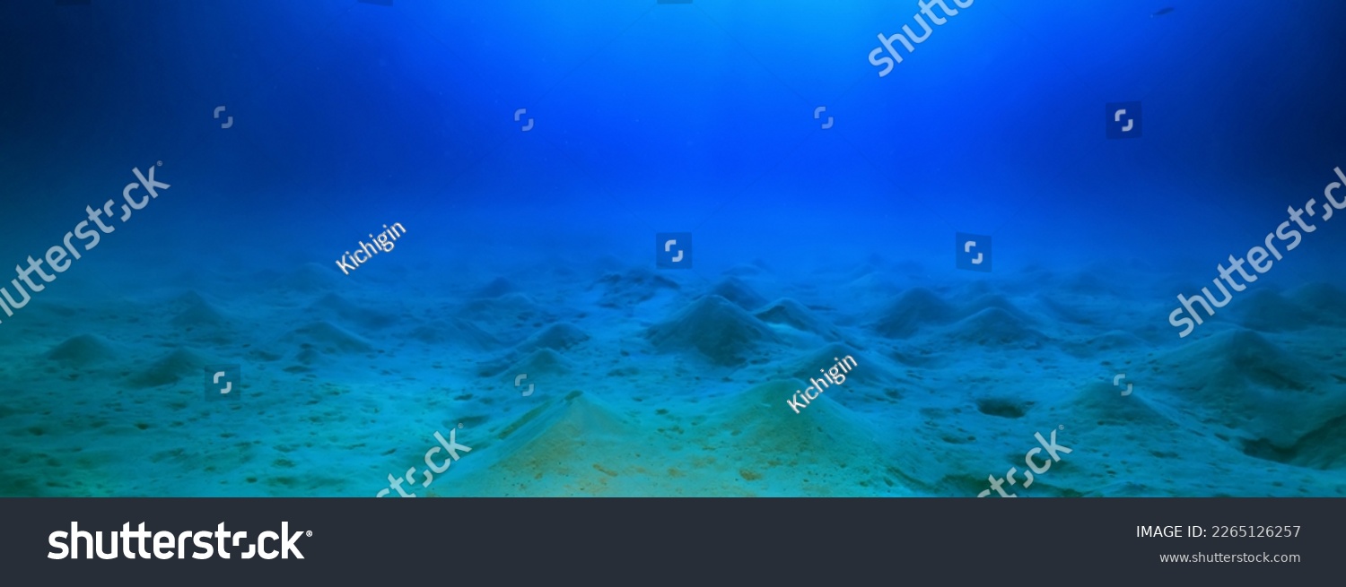 panorama coral reef underwater landscape seascape #2265126257