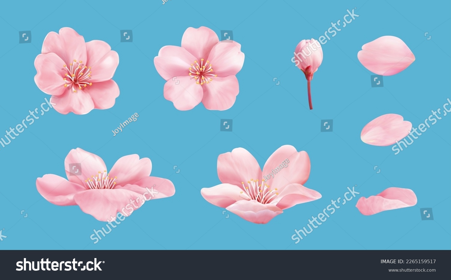 Pink cherry blossom element set isolated on light blue background. Including flower blossoms, petals, and bud. #2265159517