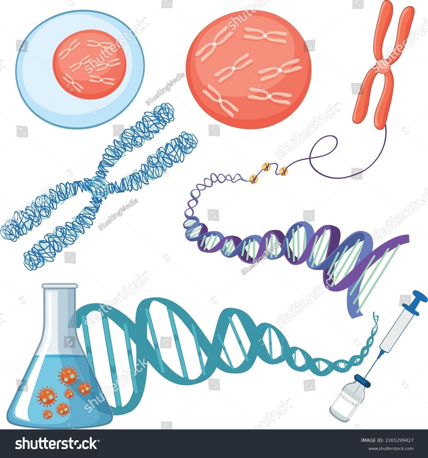 Chromosome and DNA structure illustration - Royalty Free Stock Vector ...