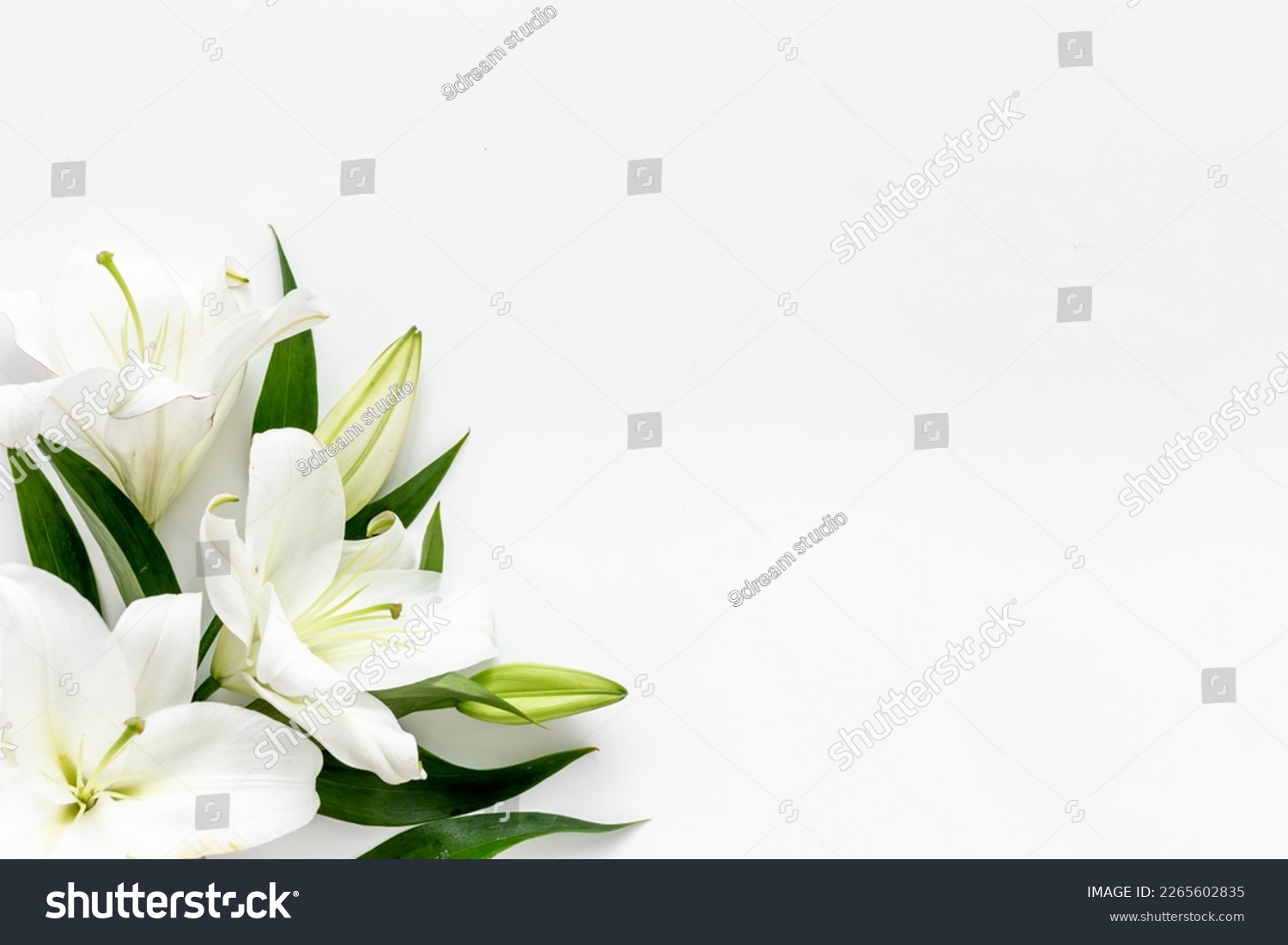 Branch of white lilies flowers. Mourning or funeral background. #2265602835