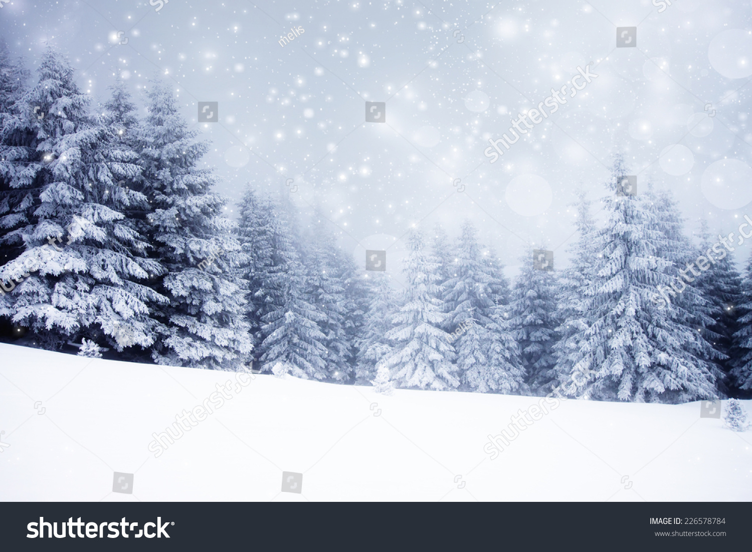 Christmas background with snowy fir trees  #226578784