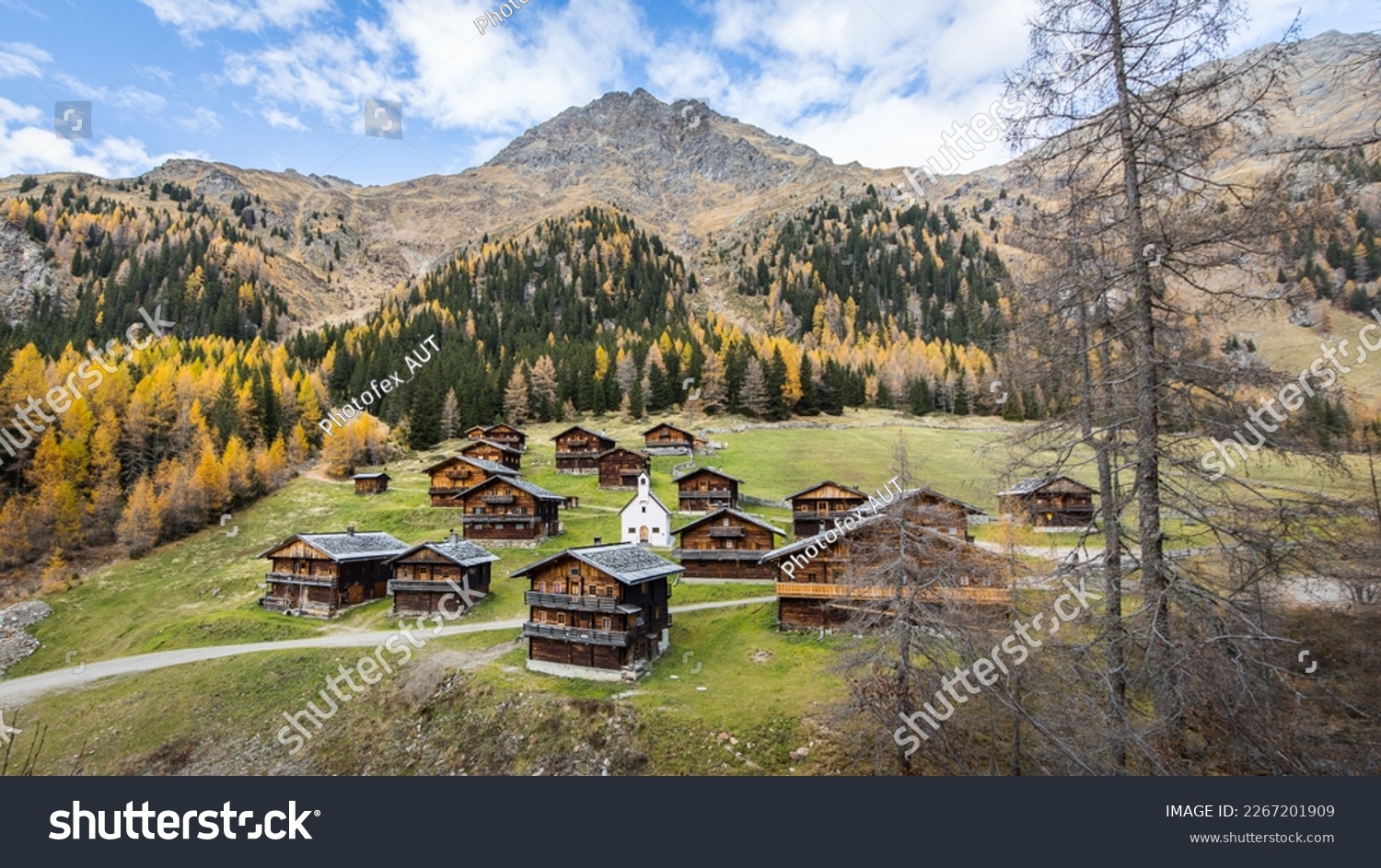 Idyllic group of historic wooden farm houses on a alpine pasture in Austria during autumn #2267201909