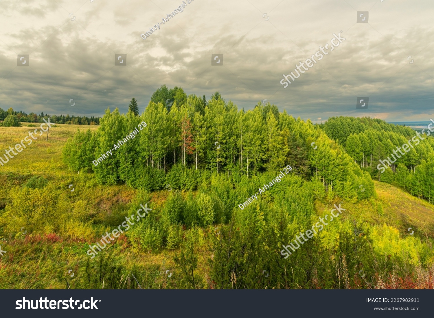 a small forest on top of a hill against a cloudy sky, Pinezhsky district Krasnaya Gorka Arkhangelsk region. travel and tourism. #2267982911