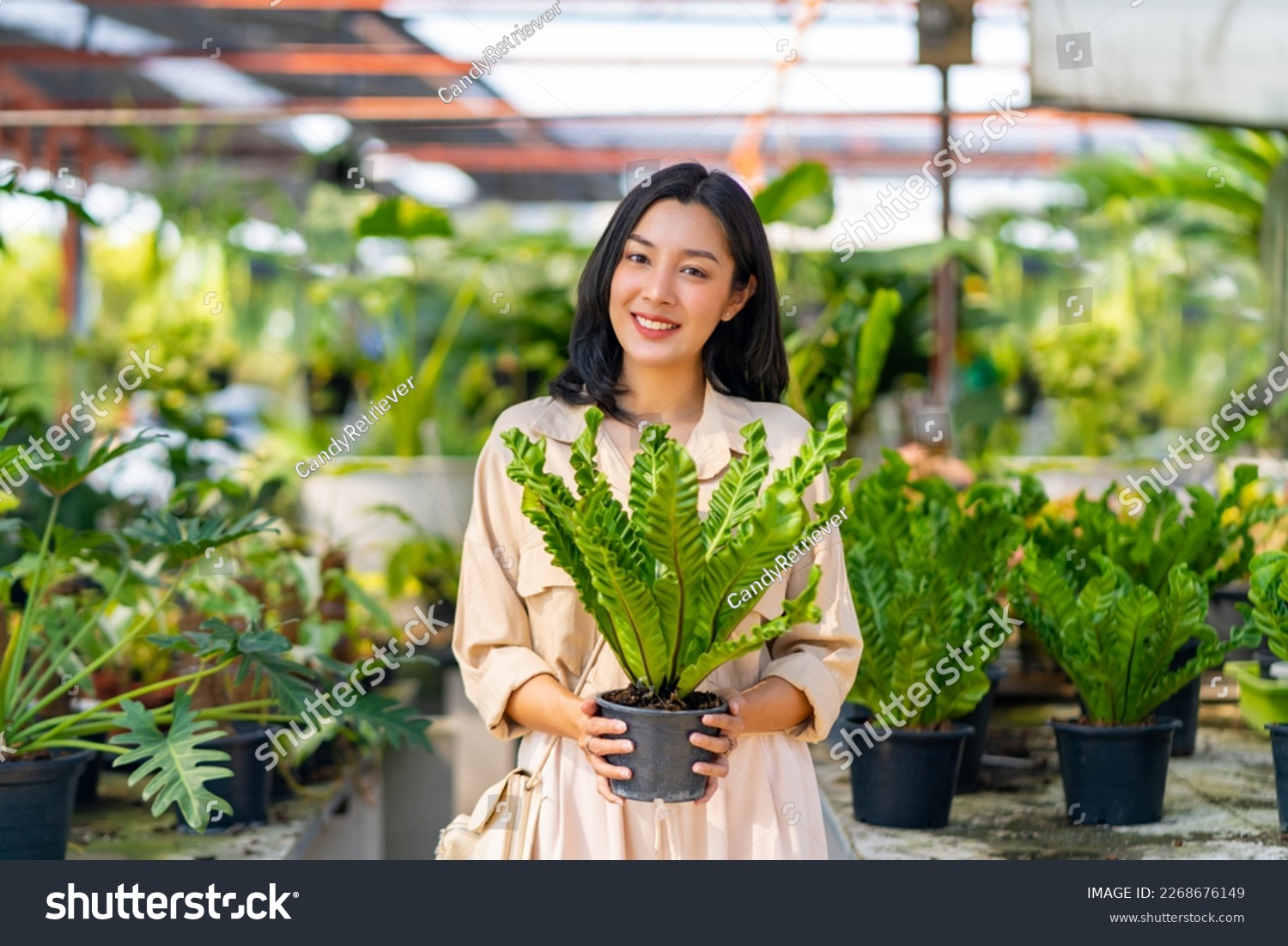 Portrait of Happy Asian woman holding potted plant in front of plant shop street market on summer vacation. Attractive woman enjoy hobbies and leisure activity growing plant and flower at home. #2268676149