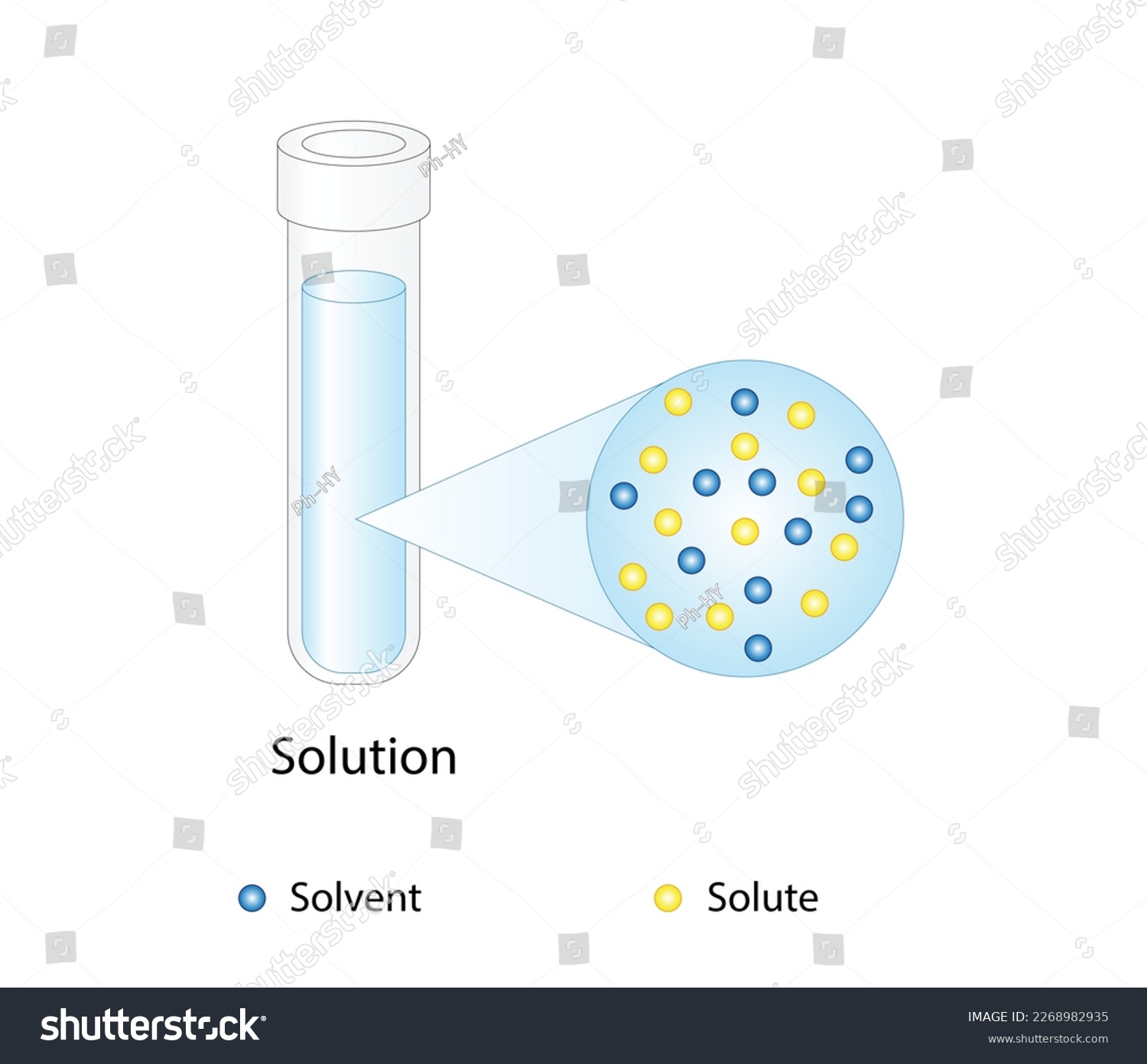 Solutions Solubility Homogeneous Mixture Royalty Free Stock Vector Avopix Com