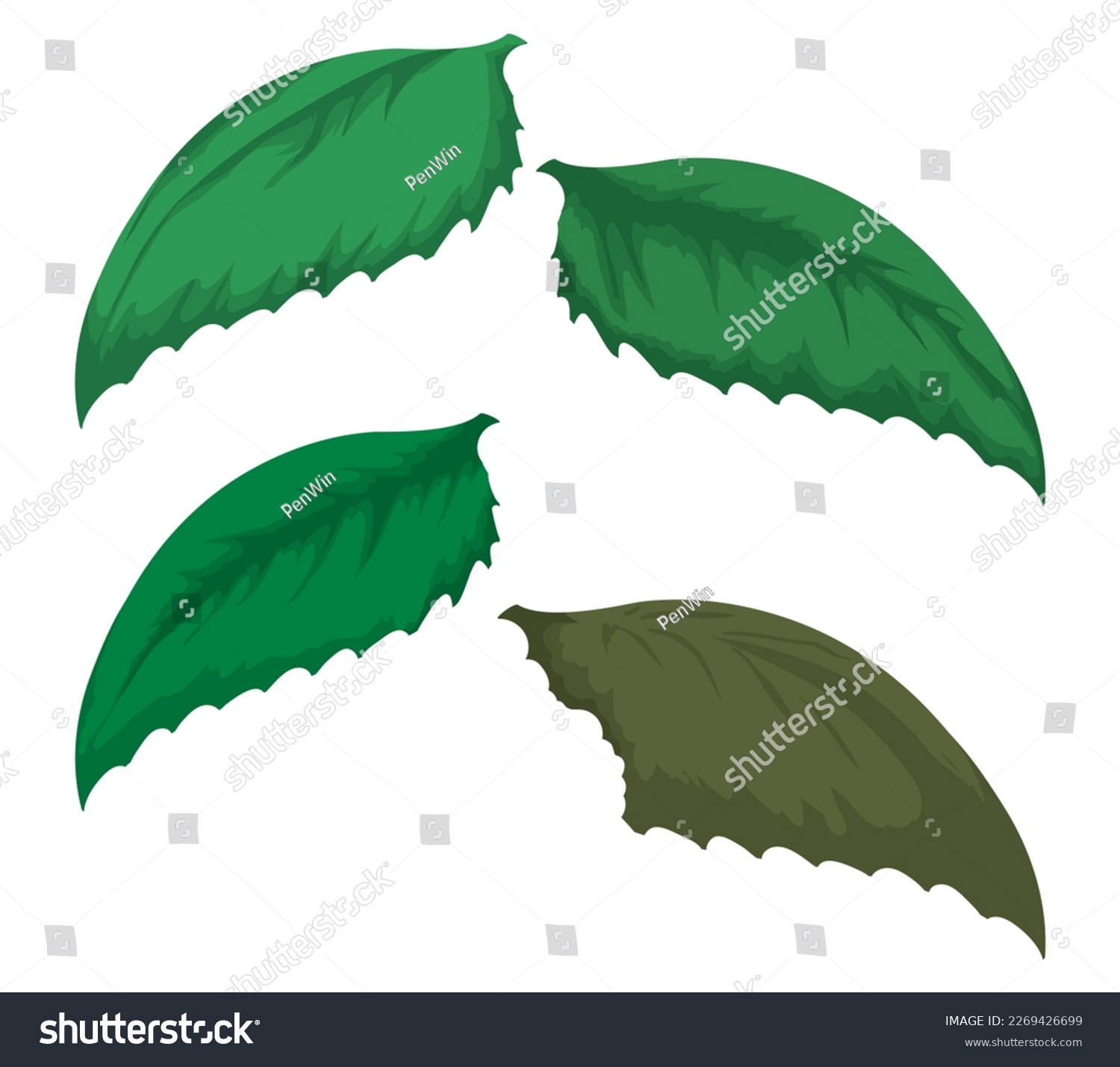 Set with four green serrated leaves and one of them bitten and faded. Design in cartoon style. #2269426699