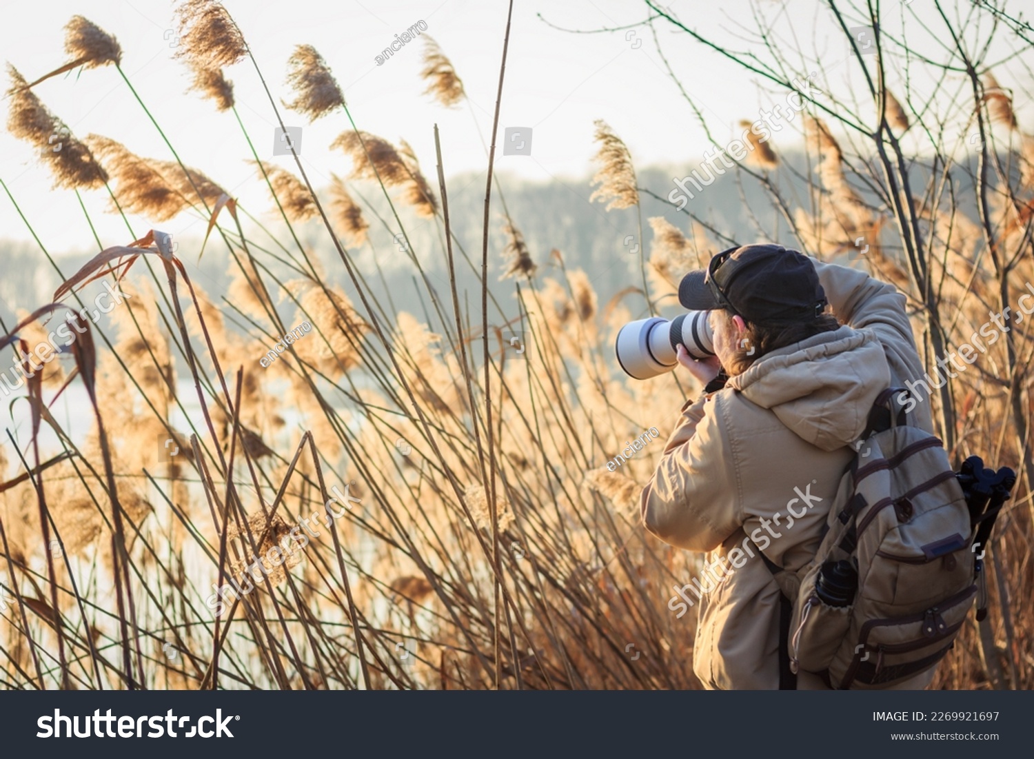 Photographer with camera hiding behind reeds at lake taking pictures of wildlife. Outdoors leisure activity #2269921697