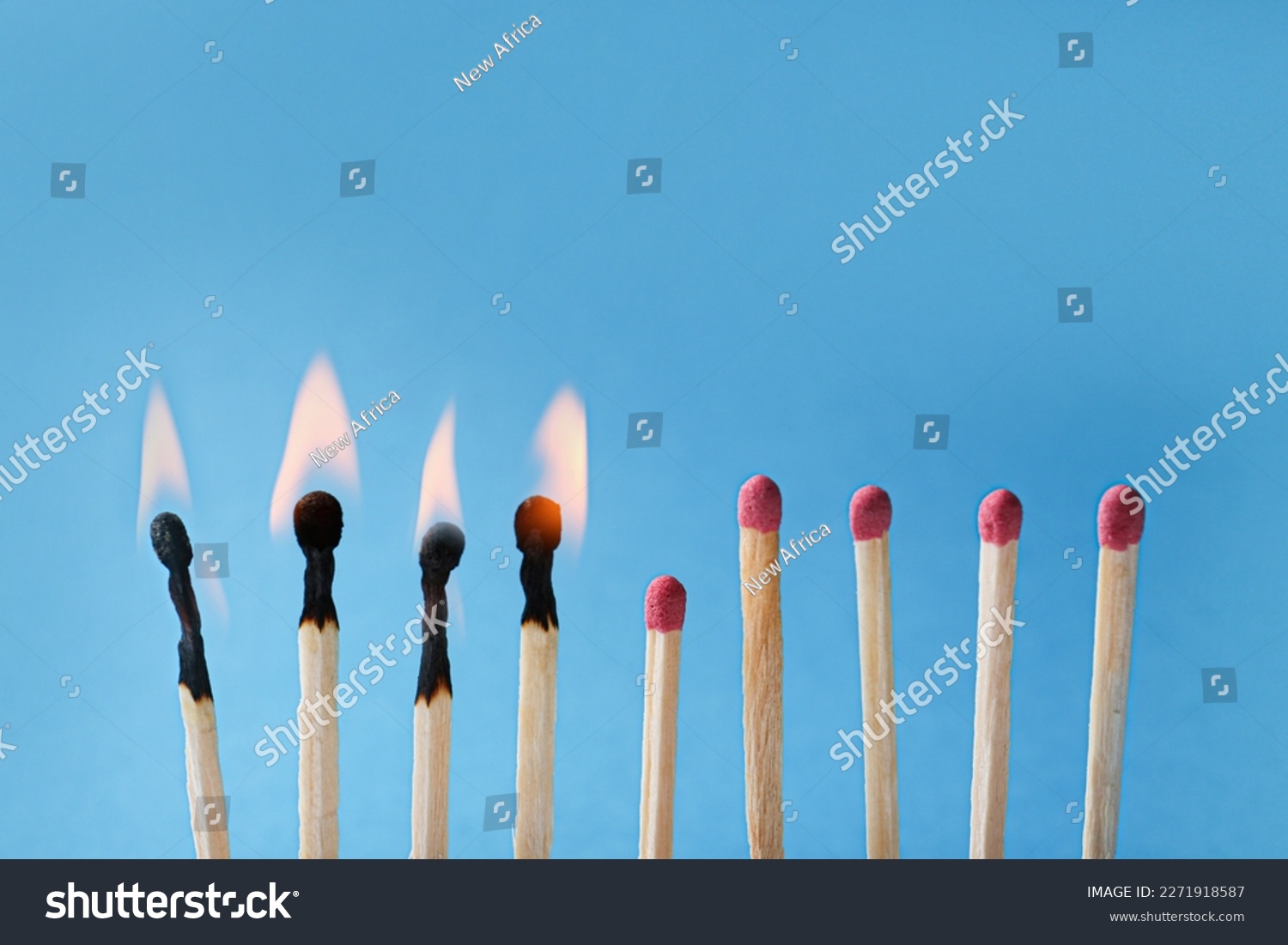 Burning and whole matches on light blue background, closeup. Stop destruction by breaking chain reaction concept #2271918587