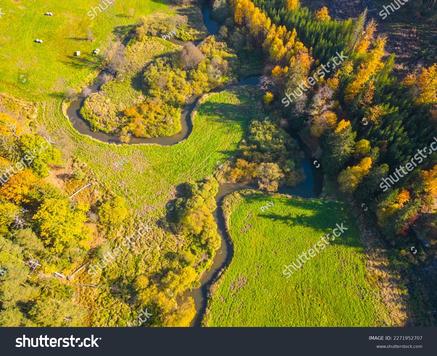 Narrow creek meanders in autumnal landscape. Green grass meadows and colourful trees. Aerial view from drone. #2271952707