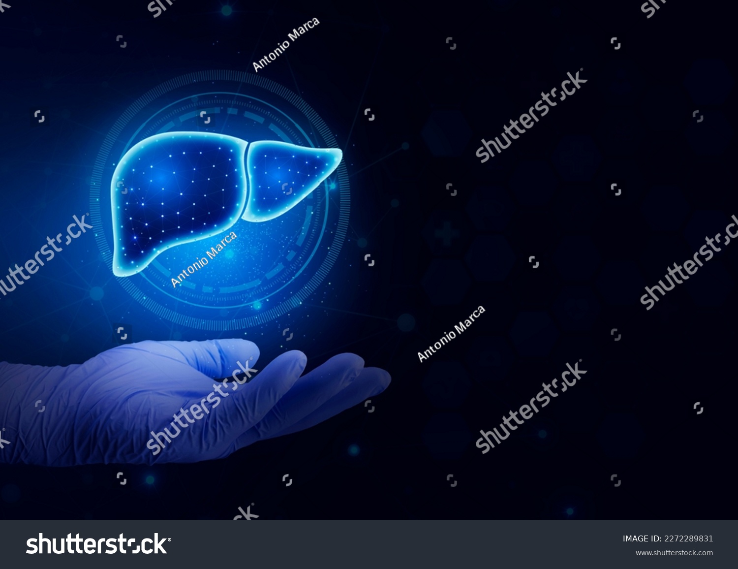 Hand of health personnel showing the liver.Isolated. Hepatologist model of human organ. Examination for the detection of gastroenterological abnormalities. Digital and technological blue background #2272289831