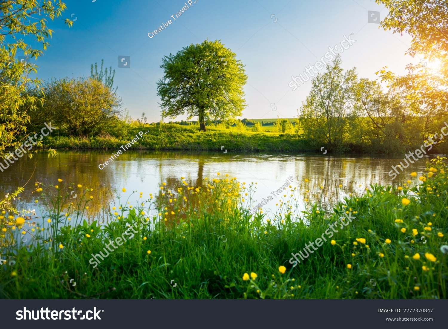 Perfect spring scene and morning meadow near the river with alone tree on the shore. Location place river Seret, Ukraine, Europe. Photo wallpaper. Environmental concept. Discover the beauty of earth. #2272370847