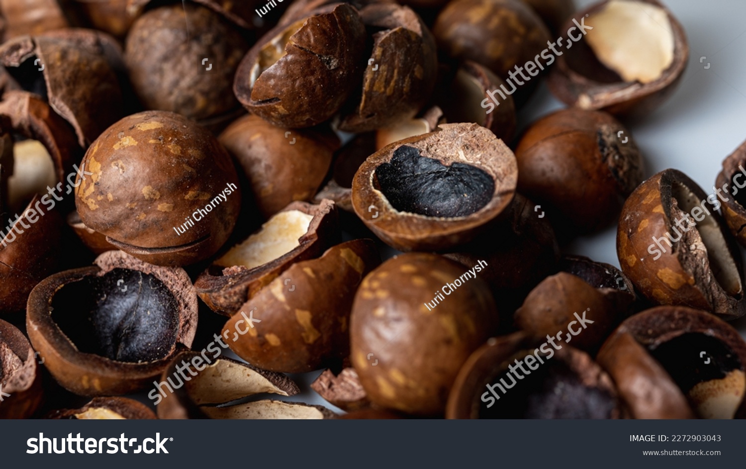 background, macadamia nut shell close-up view, tasty nut #2272903043