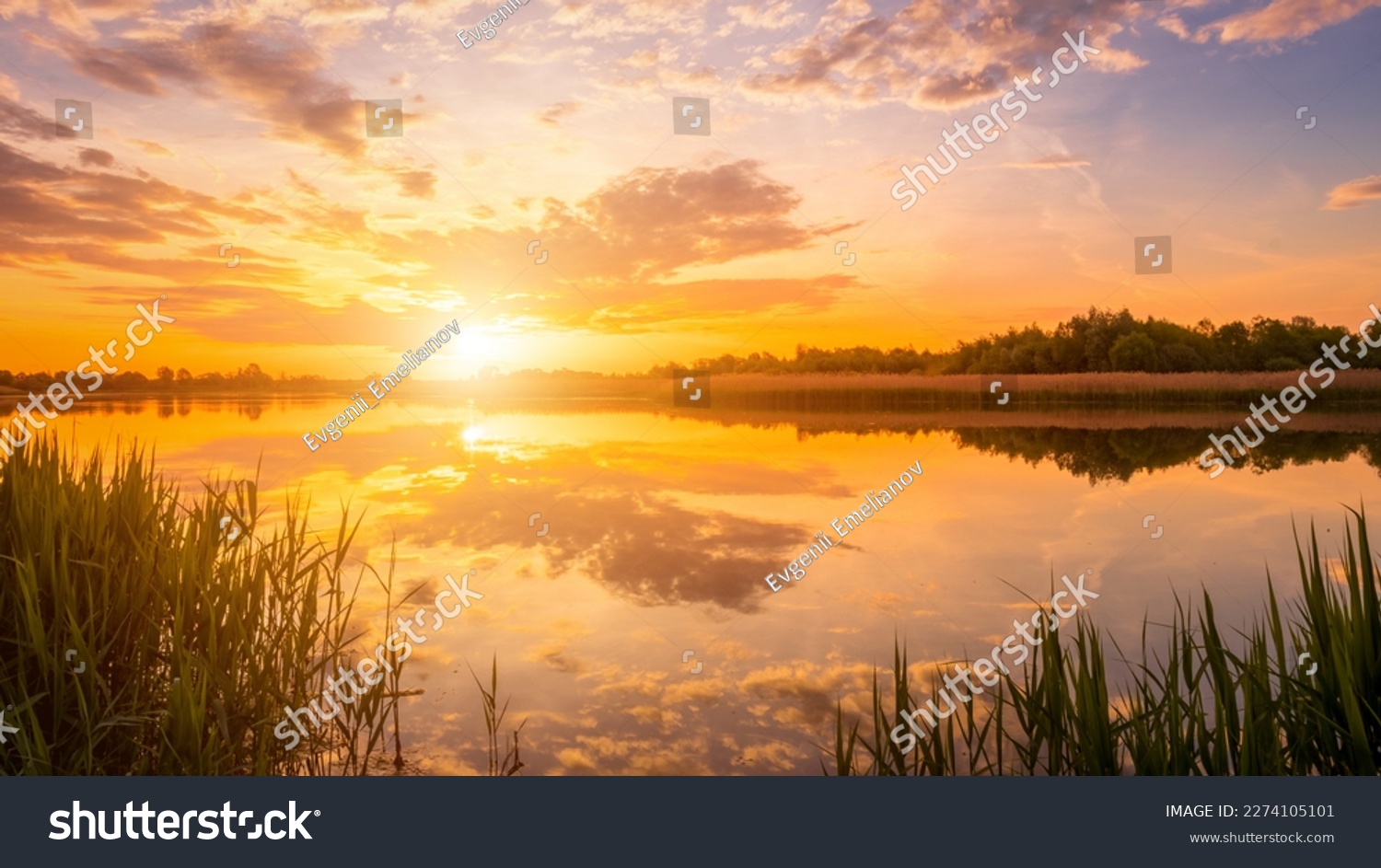 Scenic view of beautiful sunset or sunrise above the pond or lake at spring or early summer evening with cloudy sky background and reed grass at foreground. Landscape. Water reflection. #2274105101