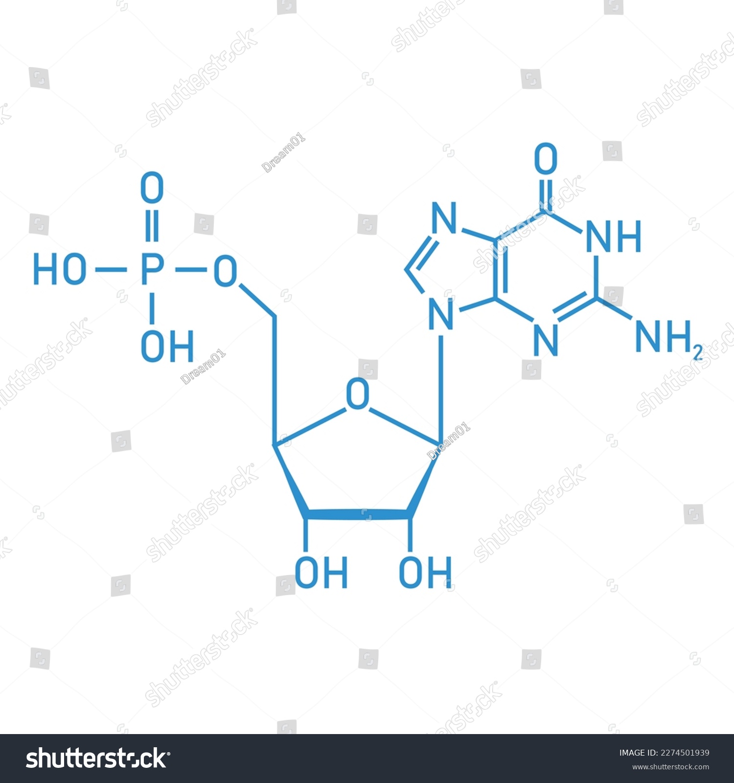 Chemical structure of DNA nucleotide. Three - Royalty Free Stock Vector ...