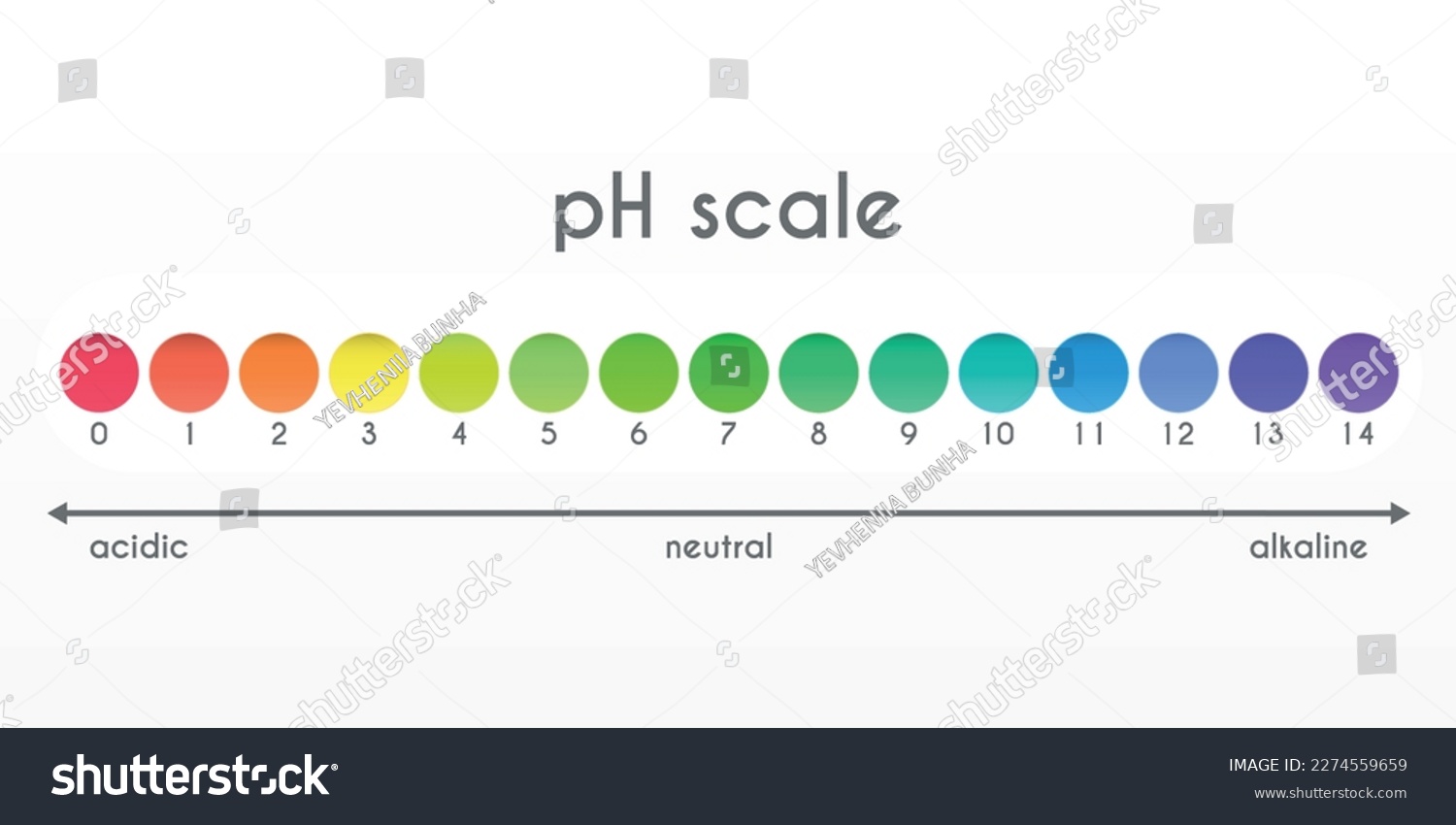 pH value scale. Acid-base balance. Universal - Royalty Free Stock ...