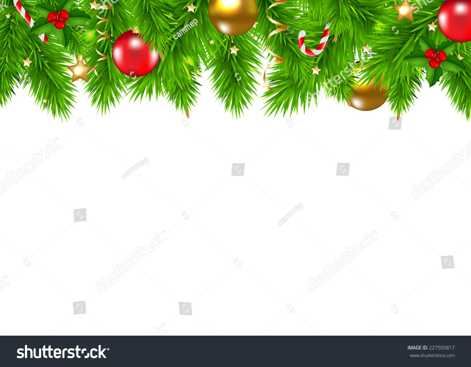 Christmas Fir Tree Border With Gradient Mesh, Vector Illustration #227505817