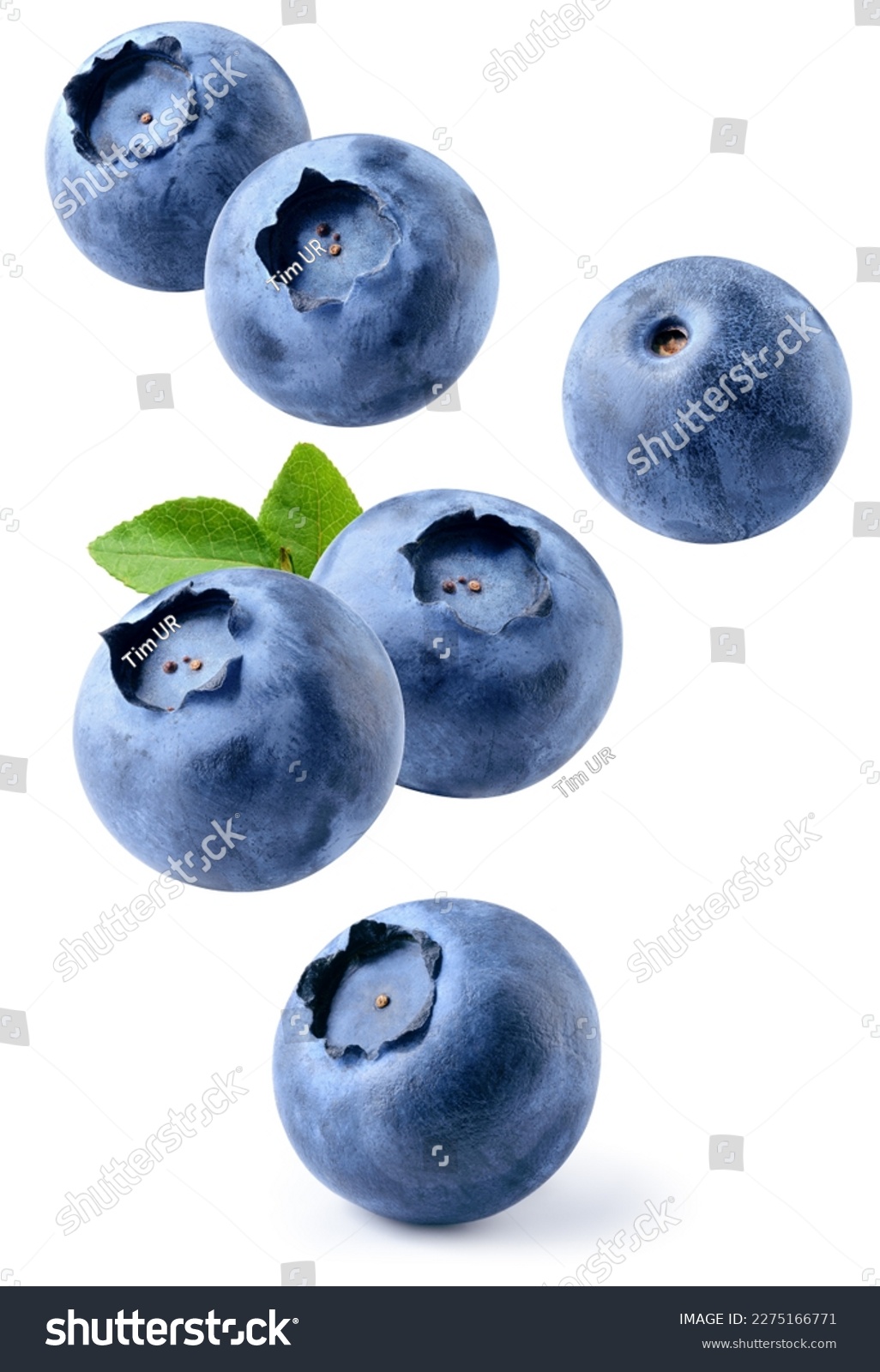 Blueberry isolated. Blueberries with leaf flying on white background. Perfect retouched blueberries falling. Full depth of field. #2275166771