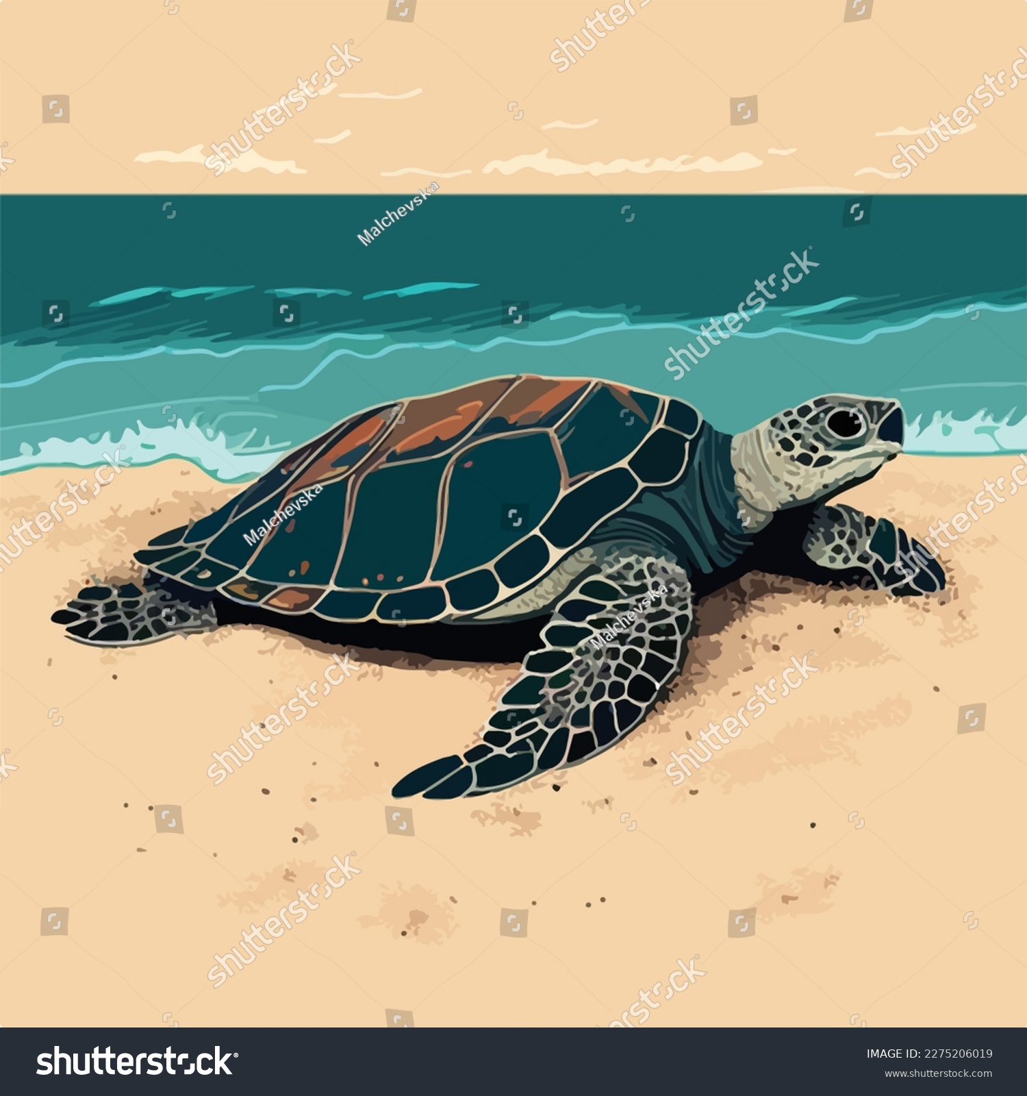 Leatherback sea turtle on the beach. Threatened - Royalty Free Stock ...