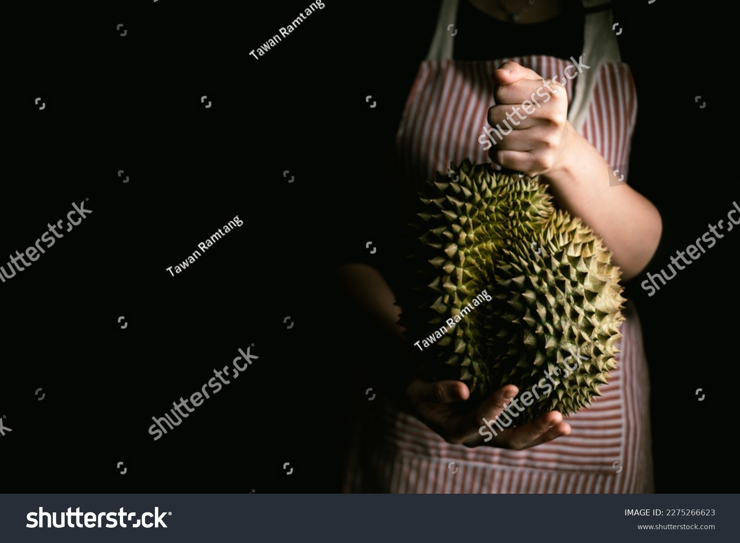 Farmer hand holding Ripe durian the king of tropical fruits. #2275266623