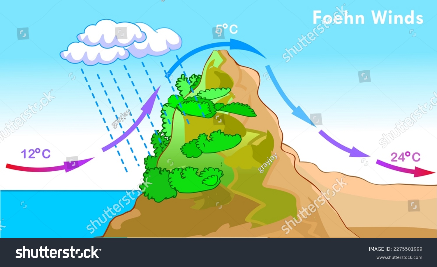 Foehn wind, chinook warm effect. Sea level, mountain. Weather direction. Warming, cooling air heat. Climate formation. Zonda, diablo, nor wester. Geography landforms, elevation. Illustration vector. #2275501999
