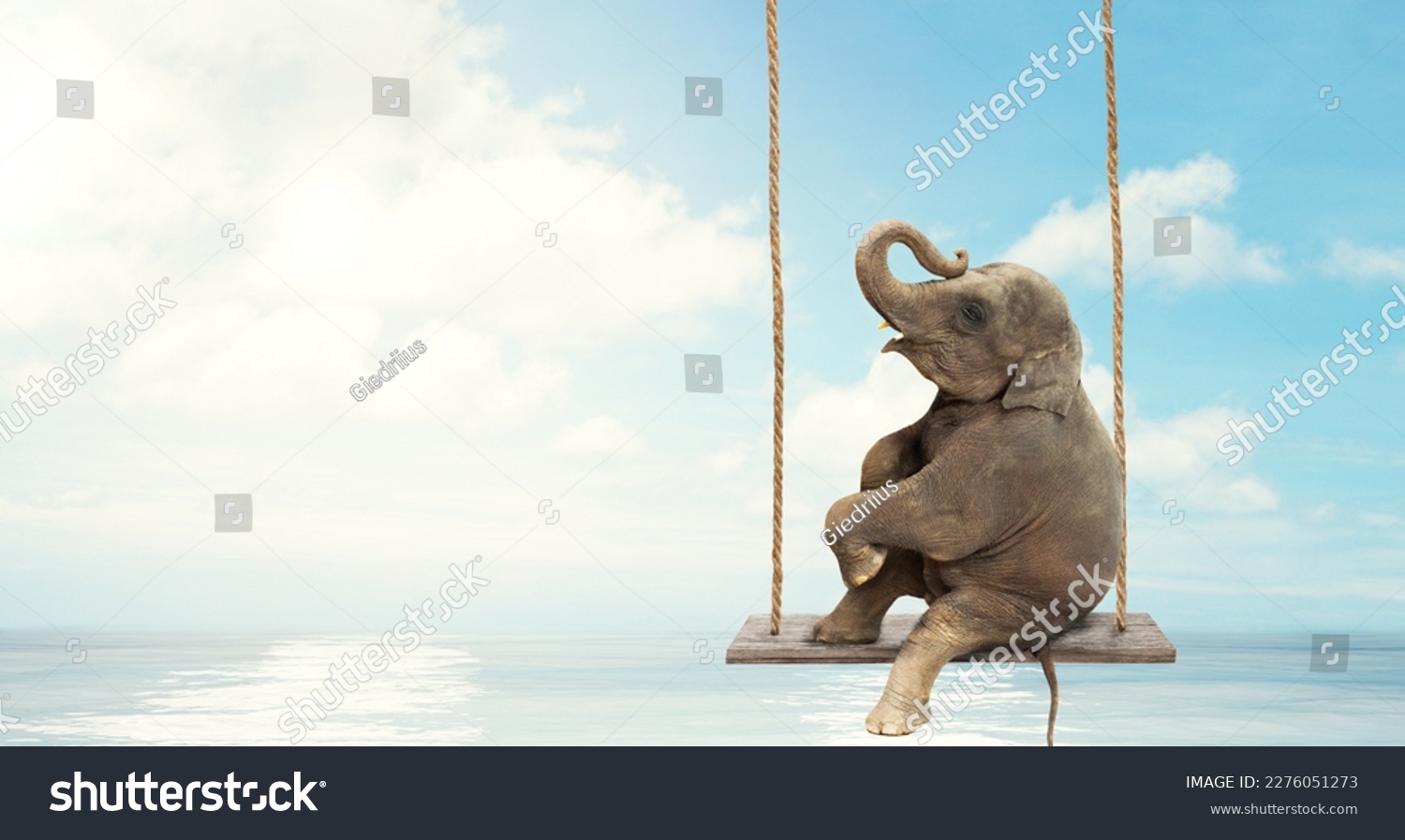 Close up of an Elephant sitting on a swing above water. Concept of  freedom and happiness. #2276051273