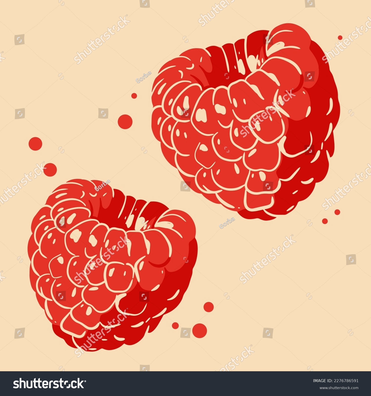 Colored vector illustration of  raspberry. For cosmetic package design, medicinal herb, treating, half care, prints. Design element  for fabric, textile, clothing, wrapping paper, wallpaper #2276786591
