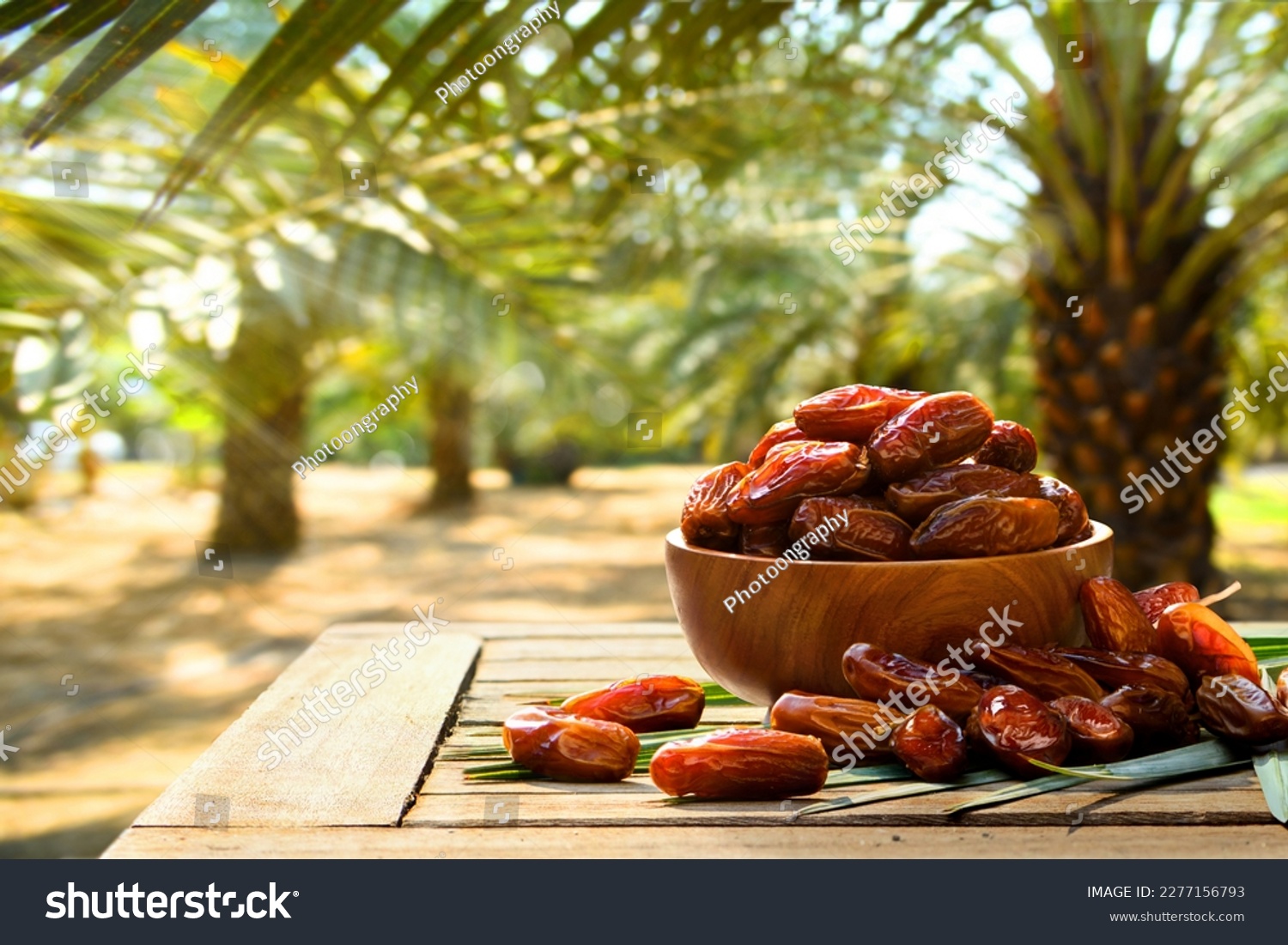 Dried dates fruits with dates palm plantation background. #2277156793