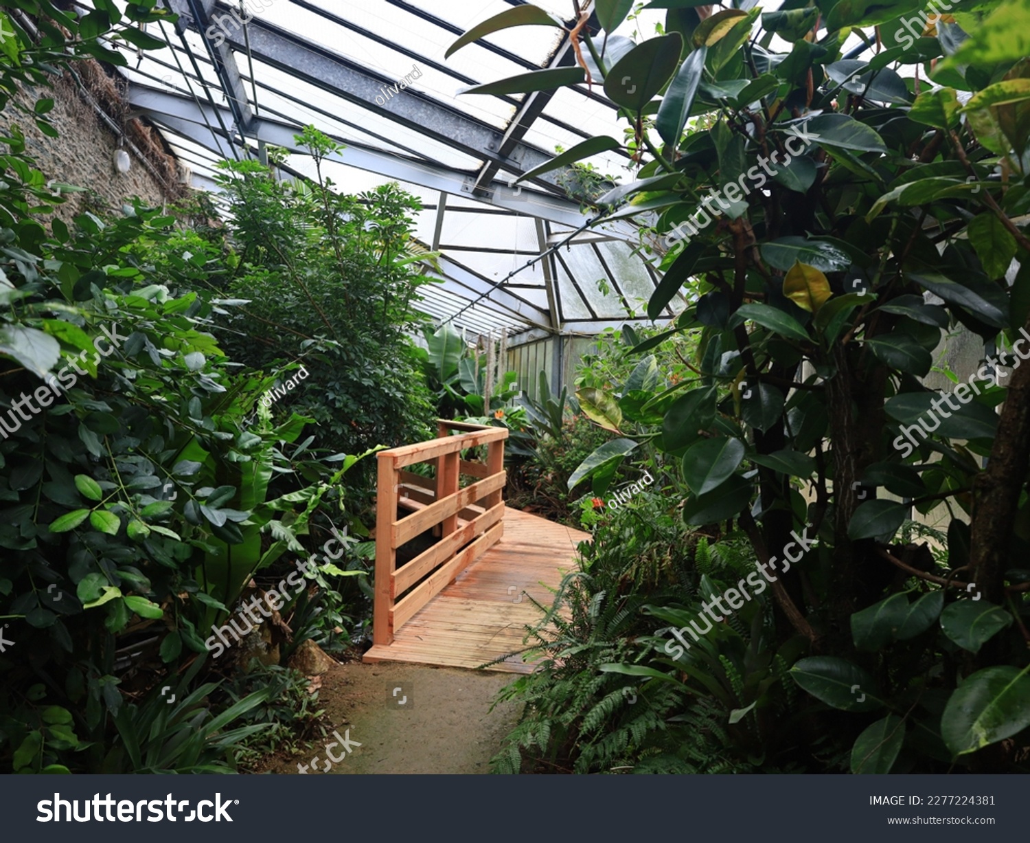 View of the greenhouse of the Biotropica animal gardens which is a French zoological park of Normandy located in the Eure #2277224381