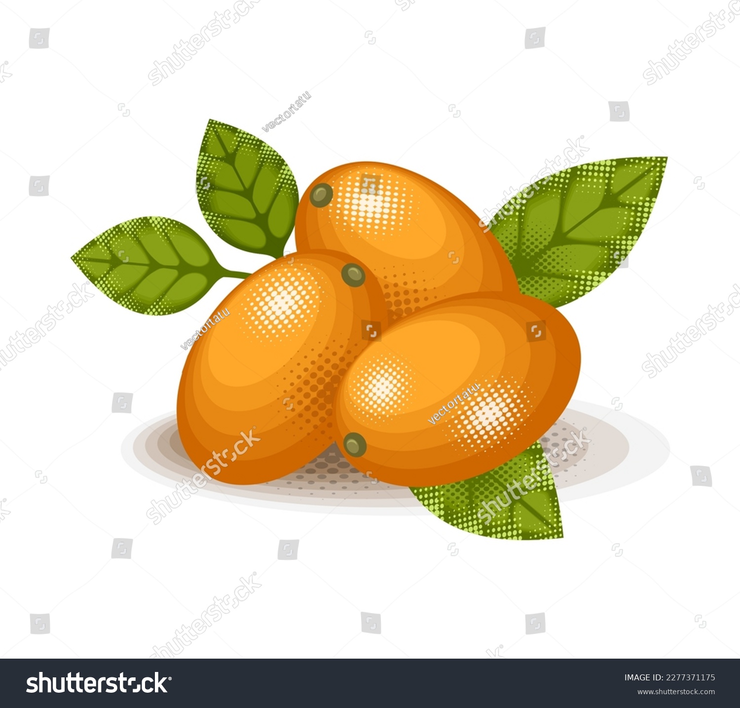 Kumquat stylized cartoon illustration. Juice - Royalty Free Stock ...