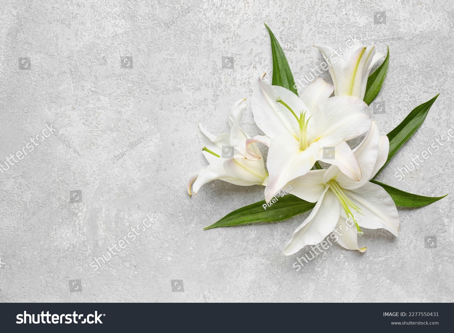 White lily flowers on light background #2277550431